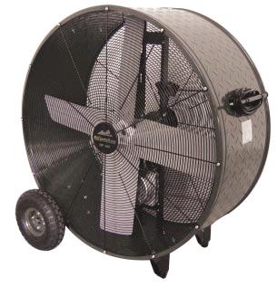 Rental store for FAN, FLOOR 42 in Portland OR